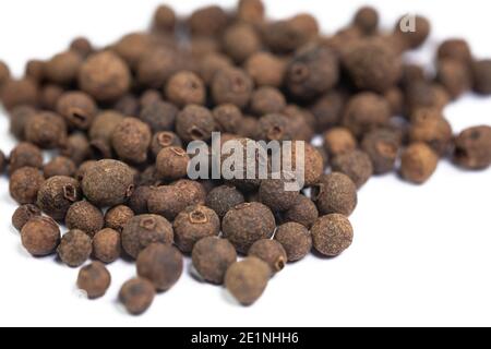 Allspice, Pimenta dioica, against white background Stock Photo