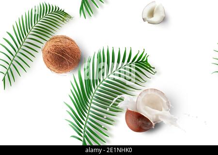 seamless pattern with coconuts, milk splash and palm leaves isolated on a white background. Stock Photo
