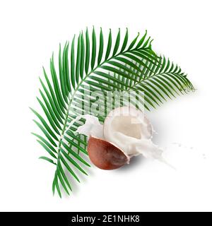 coconuts, milk splash and palm leaves isolated on a white background. Stock Photo
