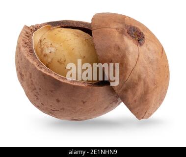 macadamia nut isolated on a white background. Stock Photo