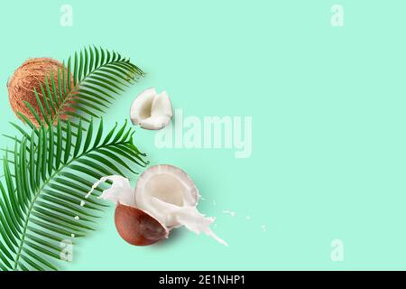 coconuts with milk splash and green palm leaves on a mint green background. Stock Photo