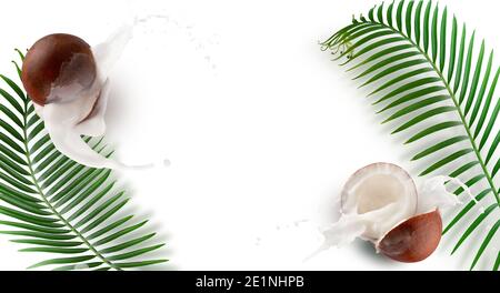 pattern with coconuts, milk splash and palm leaves on a white background. Stock Photo