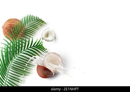 pattern with coconuts, milk splash and palm leaves isolated on a white background. Stock Photo
