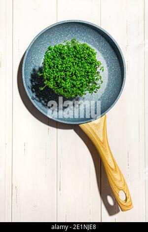 Micro greens in a frying pan with a wooden handle on a white wooden background. Stock Photo