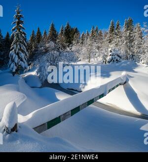 Winter landscape with mountain river and fir forest Stock Photo - Alamy