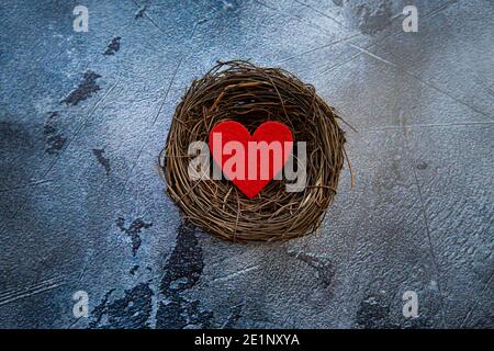 red felt heart in nest on gray background, valentine's day background Stock Photo