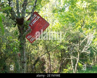 Farm for sale worn metal sign hanging from a tree in a forest somewhere near the colonial town of Villa de Leyva, in the central Andean mountains of C Stock Photo