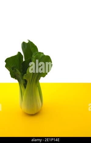 A Chinese cabbage on a yellow table and white background with copy space on yellow Stock Photo
