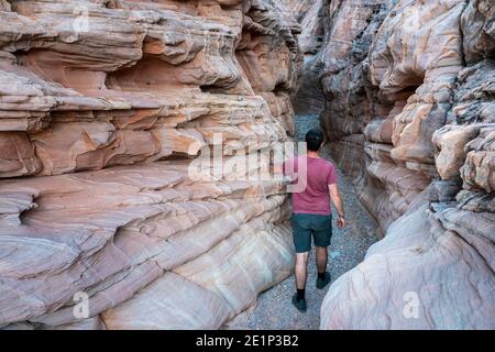 Young man walking through White Domes Slot Canyon (MR), Valley of Fire State Park, Nevada, USA Stock Photo