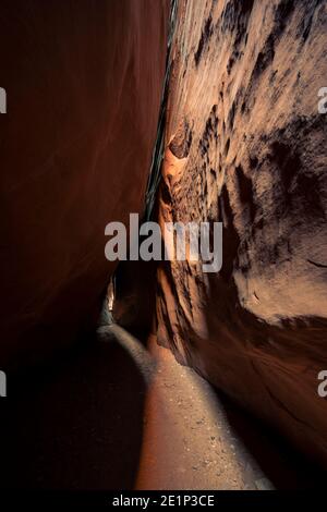 Trail leading through slot canyon walls, Leprechaun Canyon, Utah, USA Stock Photo
