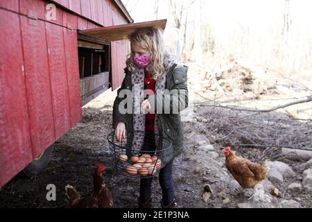 Girl wearing mask collecting eggs from henhouse outside in fall Stock Photo