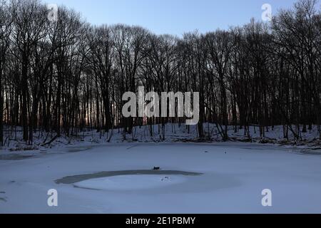 Morris Island Conservation Area near Fitzroy Harbour, Ontario, Canada in winter, January 07, 2021 Stock Photo
