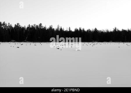 Morris Island Conservation Area near Fitzroy Harbour, Ontario, Canada in winter, January 07, 2021 Stock Photo