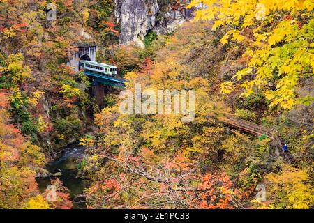 The Vibrant autumn colors at Naruko Gorge valley with train crossing the iron bridge cover with autumn leaves in valley, Japan Stock Photo