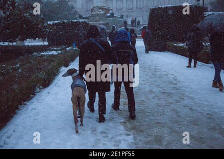 Madrid, Spain. 08th Jan, 2021. A family walks their dog during the snowfall in Madrid. (Photo by Alberto Sibaja/Pacific Press) Credit: Pacific Press Media Production Corp./Alamy Live News Stock Photo