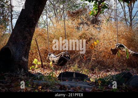 Sitting area in the middle of the forest overlooking the emptiness Stock Photo
