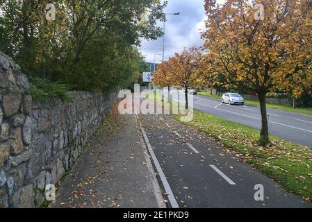 Lots of fallen colorful autumn leaves on sidewalk and cycling path beside a stone fence, Dublin, Ireland. Soft and selective focus. Aerial-like view Stock Photo