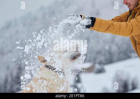 Young man with happy dog in winter. Pet owner with his labrador retriever playing in snow in beautiful nature. Stock Photo