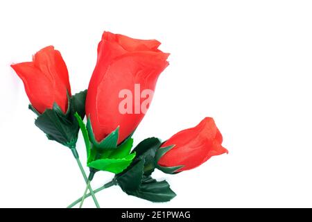 Set of three luxurious dark-red roses with isolated green leaves on a white background, Stock Photo