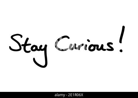 Stay Curious! handwritten on a white background. Stock Photo