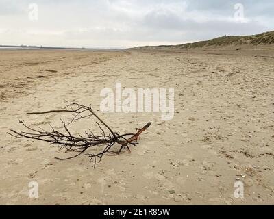 camber sands beach in Camber village East Sussex UK in winter, popular day tripper destination in summer on South England coast lifeguard tower Stock Photo