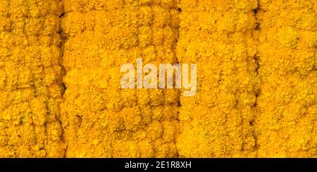 Fresh yellow marigold garlands, a closeup, at market in Thailand. Stock Photo