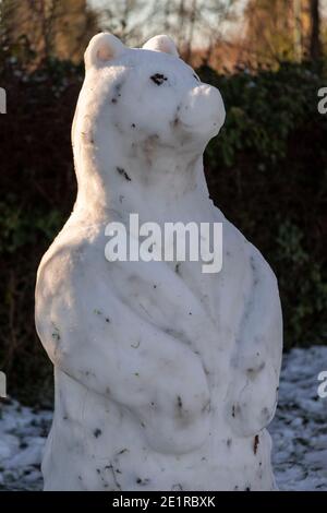 Snowbear snow sculpture in Buckley, North Wales Stock Photo
