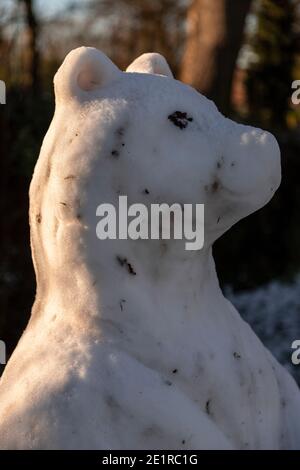 Snowbear snow sculpture in Buckley, North Wales Stock Photo
