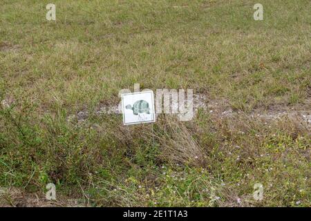 Warning sign for turtle breeding area nesting in yard in Florida Stock Photo