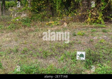 Turtle breeding area along gulf coast of Florida with yard sign Stock Photo