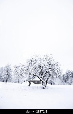Nice old village house in the middle of beautiful winter with lots of white snow and trees. Christmas magic, winter tale with white fields. Stock Photo