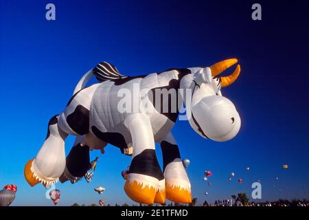 A hot air balloon shaped like a cow featured in the forefront of a balloon race festival Stock Photo