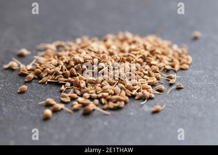 Close-up of anise seeds (Pimpinella anisum) Stock Photo