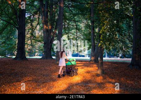 Young lady and new mon walking outdoor with baby pram back side view, stroller walk in autumn forest landscape with ground covered by coloured leaves Stock Photo
