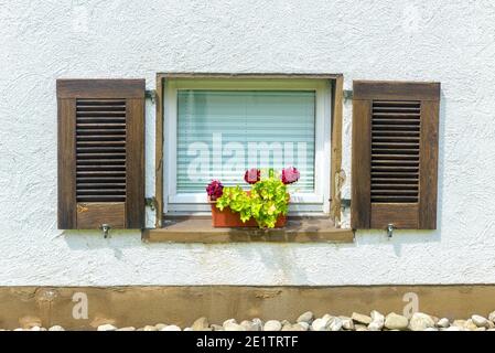 Window of home basement with nice flowers and wood shutters, white plastered outside wall and stones of landscape design. Front view of beautiful resi Stock Photo