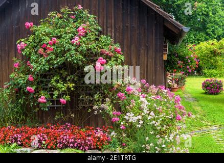 Landscape design with flowerbed at residential house, nice landscaping home garden, wooden wall overgrown by flowers and plants in summer. Beautiful l Stock Photo