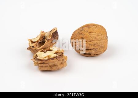 Tasty walnuts falling on white background Stock Photo