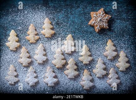 Snowy landscape with small Christmas trees and gingerbread star in sky. Christmas symbol. Stock Photo
