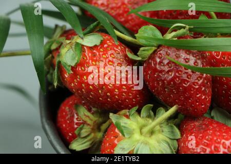 Healthy strawberry. Copy space. High resolution product. Stock Photo