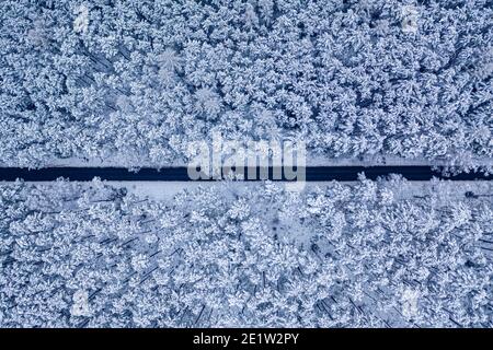 Top view of long straight road through snowy forest, Poland Stock Photo