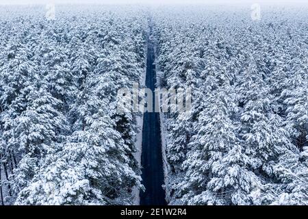 Aerial view of the long straight road on Bonny Island surrounded by ...