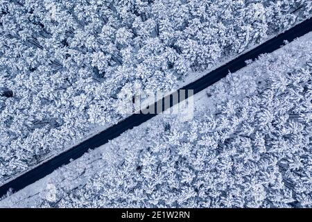 Top view of long straight road in frozen woods, Poland Stock Photo