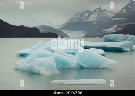 Icebergs calved from Glacier Grey float in the waters of Lago Grey, with the jagged peaks of Torres del Paine behind, Patagonia, Chile