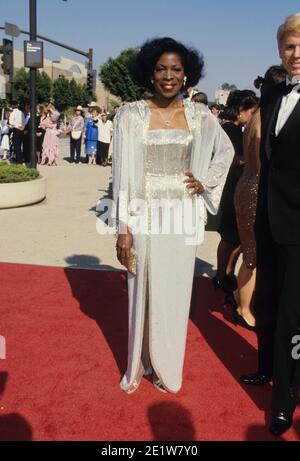 MADGE SINCLAIR 1986 F3283 Credit: Ralph Dominguez/MediaPunch Stock