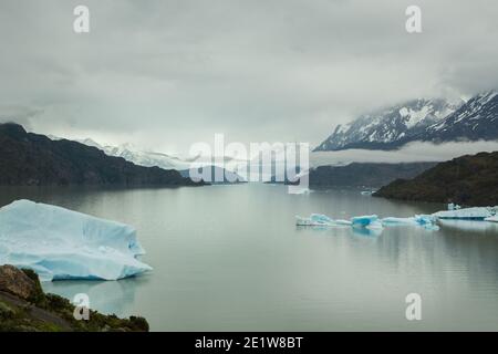Icebergs calved from Glacier Grey float in the waters of Lago Grey, Torres del Paine National Park, Patagonia, Chile Stock Photo