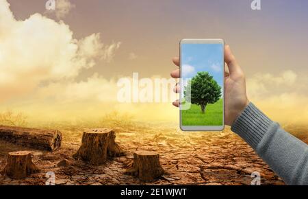 Woman hand holds modern green tree screen smartphone on dead stump tree and cracked land. Saving environment and natural conservation concept. Stock Photo
