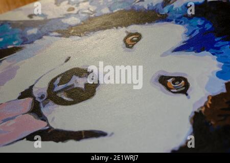 Colorful picture of dog breed husky painted with paint on canvas. Can be printed on shirts, bags, posters, invitations, cards, phone cases, pillows. P Stock Photo