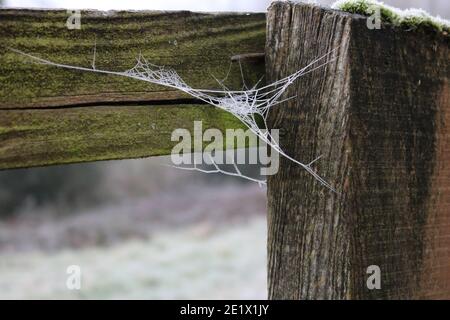 Frosty spiders web suspended from wooden fence post on cold winters day Stock Photo