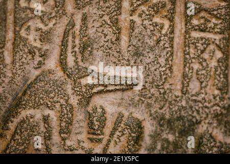 Shallow depth of field (selective focus) and close up footage with Egyptian hieroglyphs on a historic replica. Stock Photo