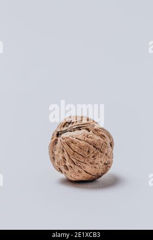 Walnut Stock Photo
